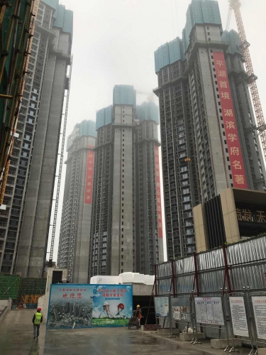 深圳特發天鵝湖畔/真石漆