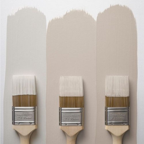 家裝新寶典：全面解析内牆乳膠漆的選擇與應用